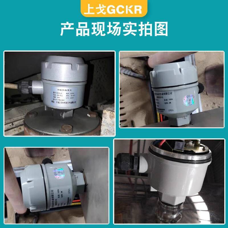 Rotary Vane Level Switch 24V Level Gauge Rotary Vane Level Switch High ...