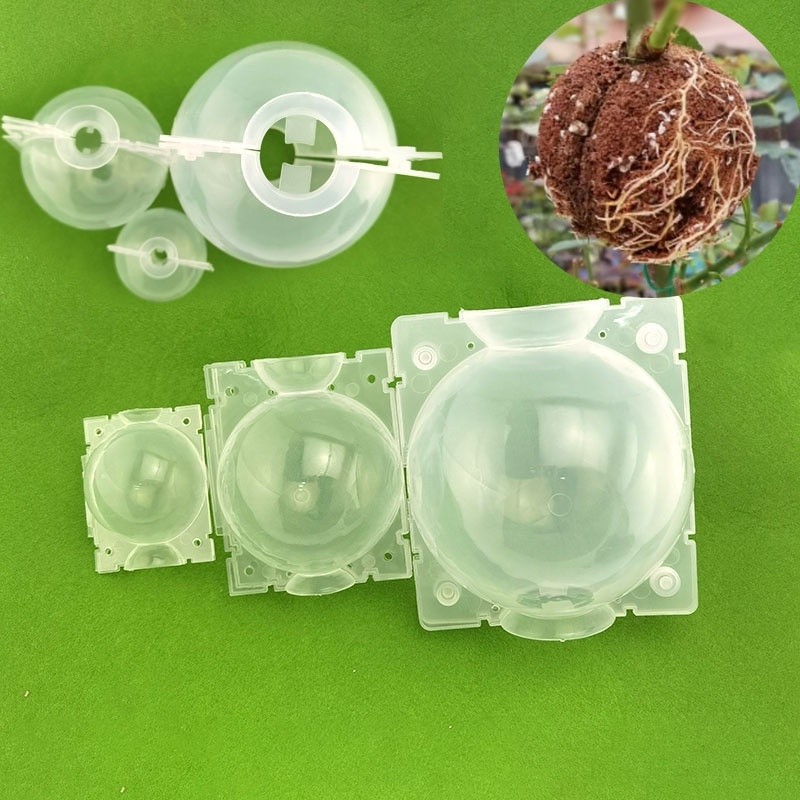 10pcs 8cm Garden Plant root growing case Transparent box tree flower ...