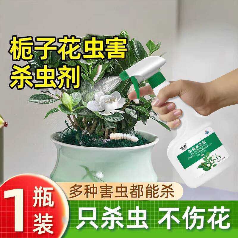 Insecticide for Roses Gardenias, Small Flying Insects, Plant Soil ...