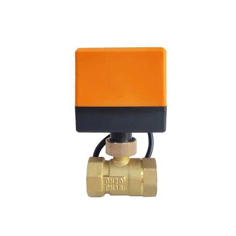 Tt Dn20 With Motor 3-Wire Brass Motorized . Vae Electric Drive Crane ...
