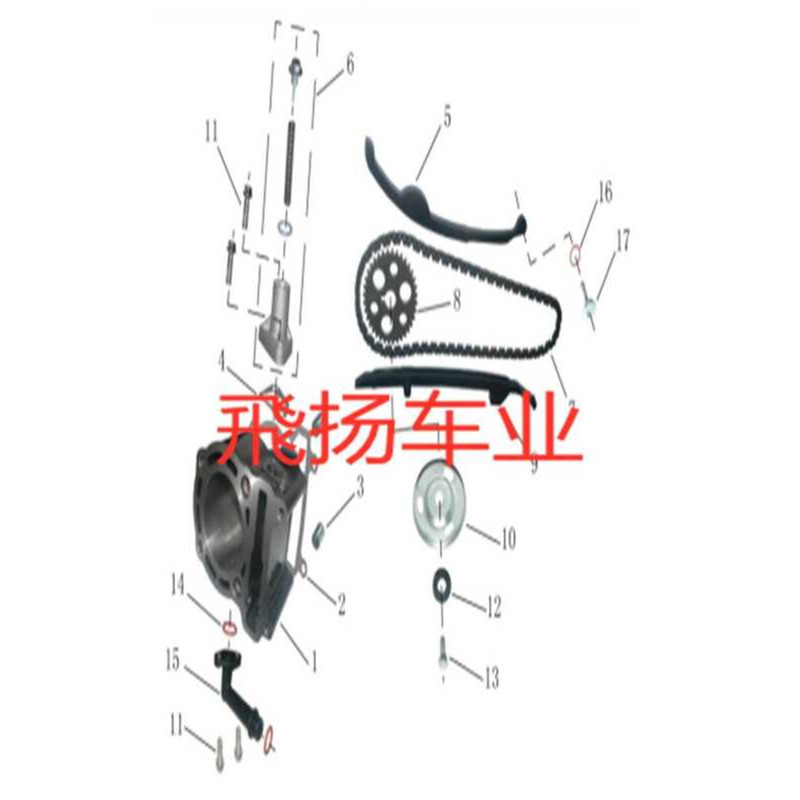 Jinlang 300cc Engine Cylinder Block Piston Ring Timing Chain Tensioner ...