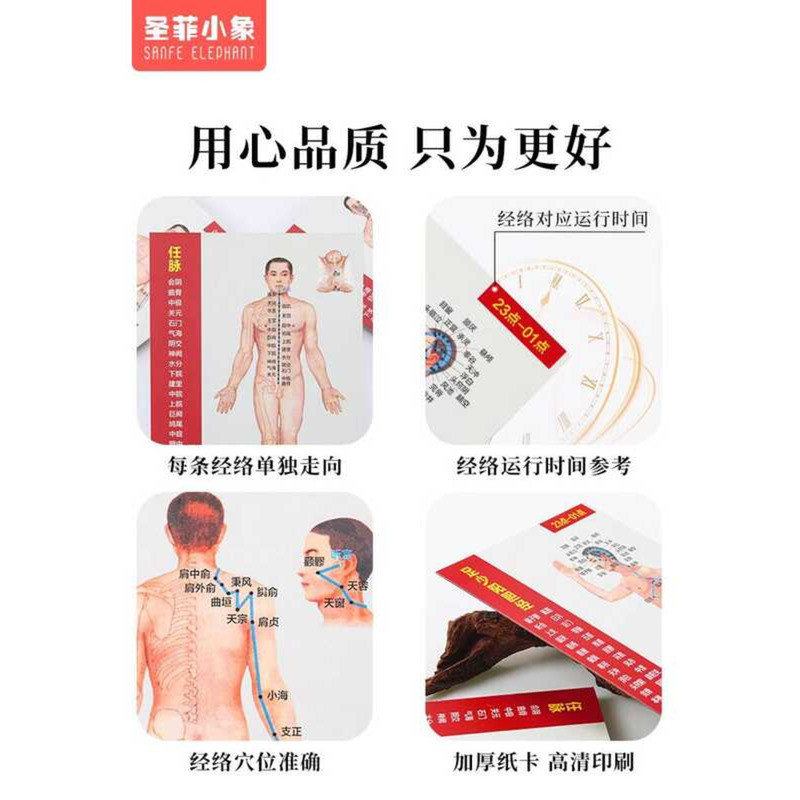 Twelve Meridians Acupoint Diagram Quick Learning Card Human Traditional ...