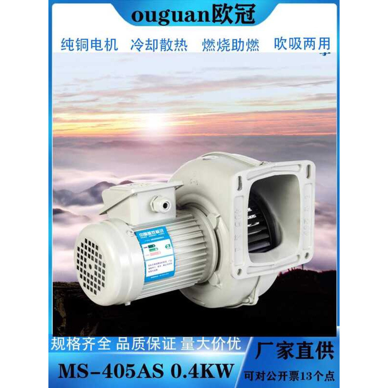 Champion League Industrial Dust Removal MS-751A 0.75KW Ducted Exhaust ...