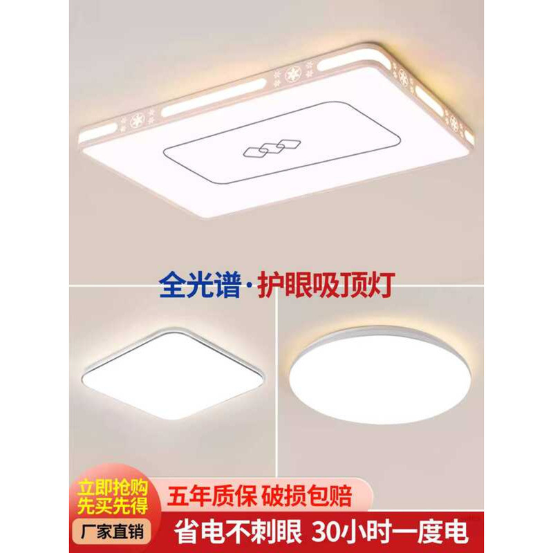 LED Ceiling Fixture 2025 New Model Living Room Main Light Master ...