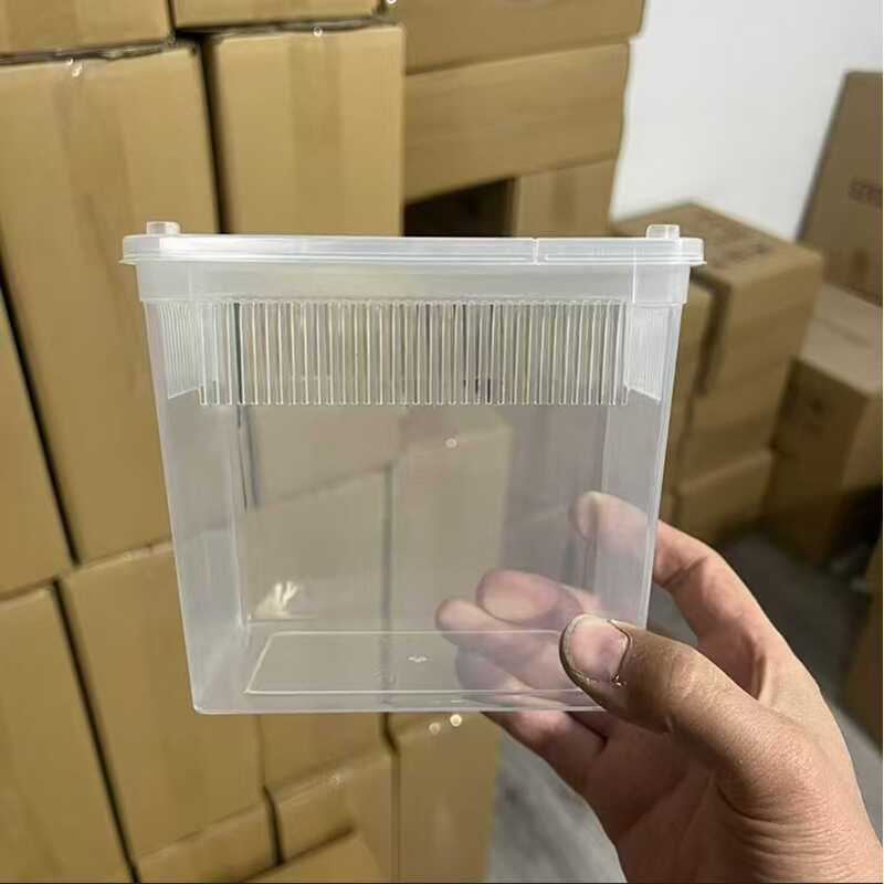 Small Square Mini Tree-Dwelling Breeding Micro Insect Feeding Larva ...