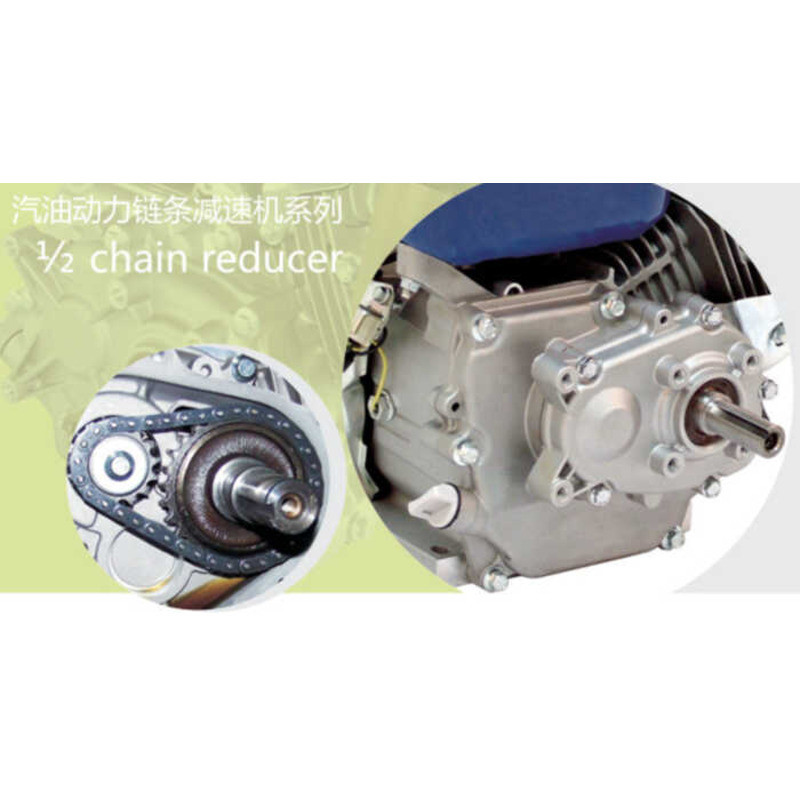 Gasoline Powered Chain Reducer Lifan Brand 168F-L | Shopee Philippines