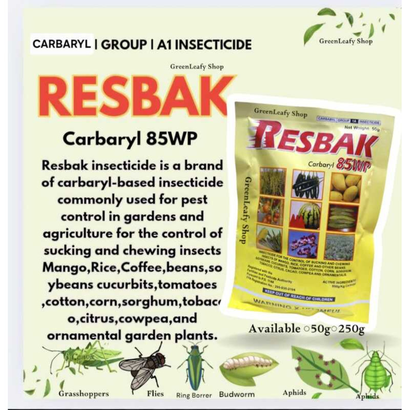 Resbak Insecticide Pamatay Peste Common Garden Pest A18 | Shopee ...