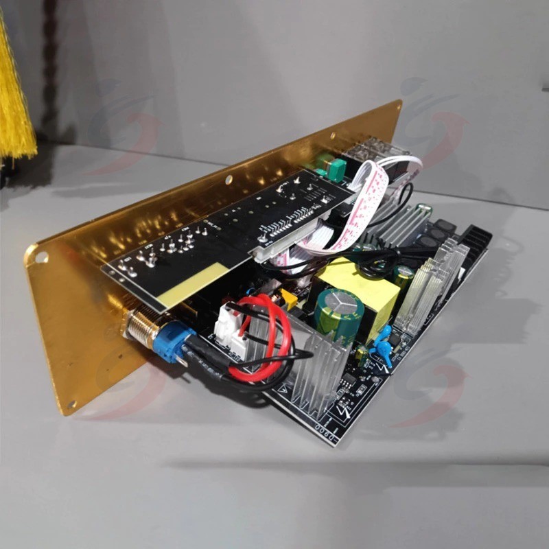 D2000 100W+100W+200W TPA3221 Imported Chip Power Amplifier AUX ECHO ...