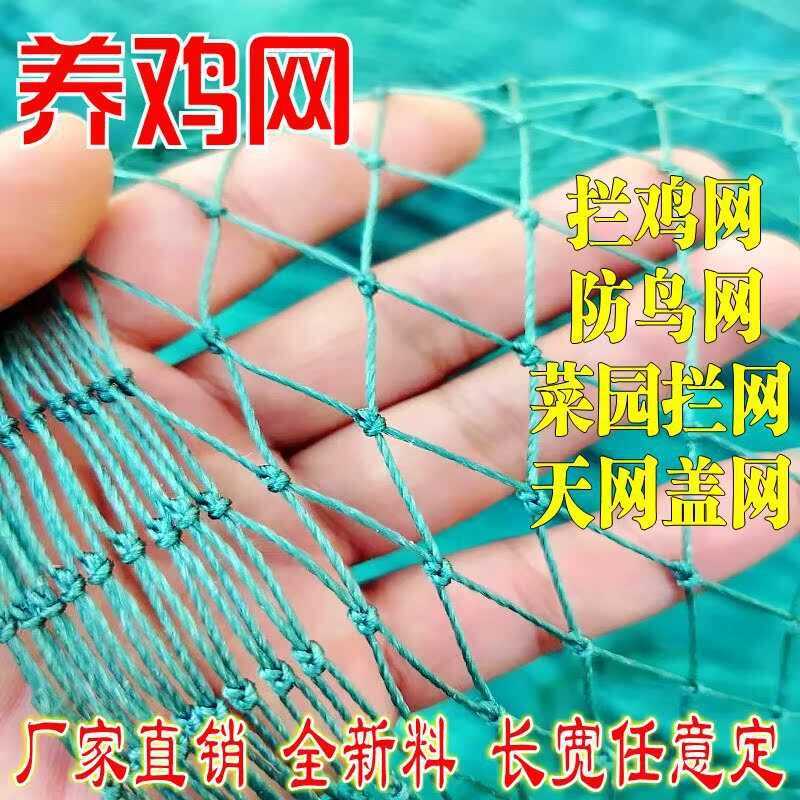 Breeding Chicken Nylon Safety Isolation Garden Fence Polyethylene ...