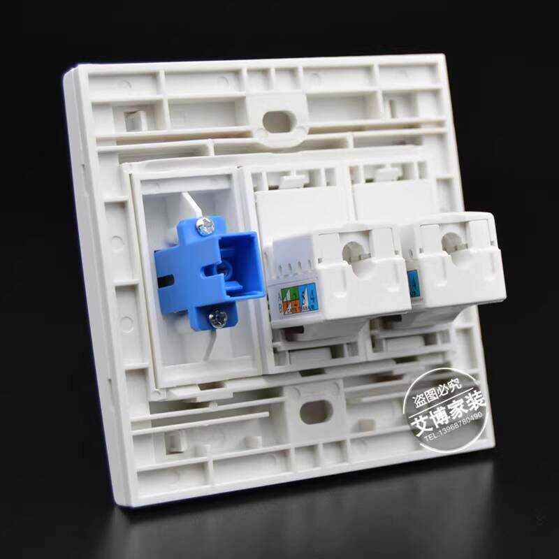 2-Port Cat6 Network Gigabit Ethernet Cable Socket for Computer with C ...