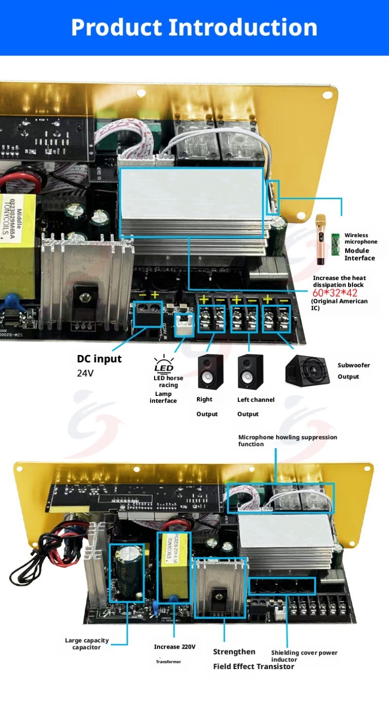 D2000 100W+100W+200W TPA3221 Imported Chip Power Amplifier AUX ECHO ...