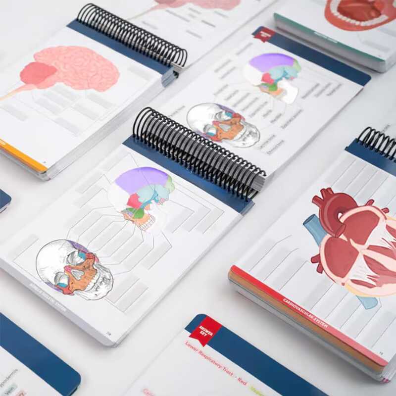 Anatomy Label Lab Workbook | Shopee Philippines