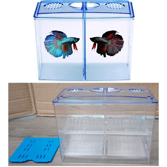 External Hatching Breeding Aquarium Box , Isolation-Box | Shopee ...