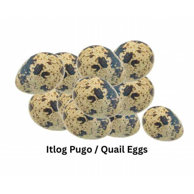 quail egg - Best Prices and Online Promos - May 2026 | Shopee Philippines