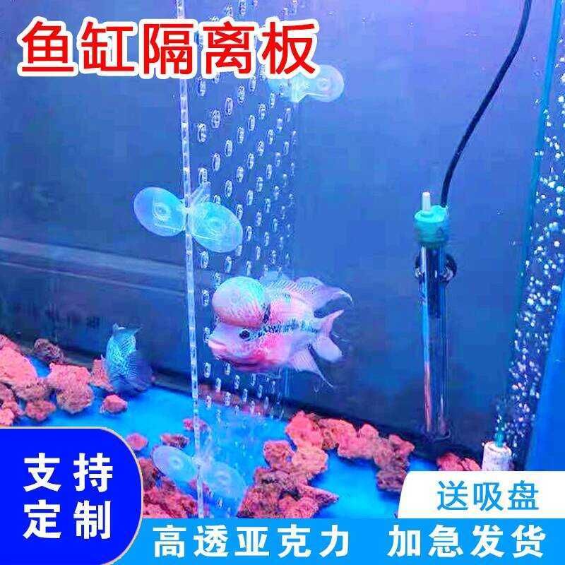Transparent Acrylic Divider Cover Small Fish Tank Grid Separator Net ...