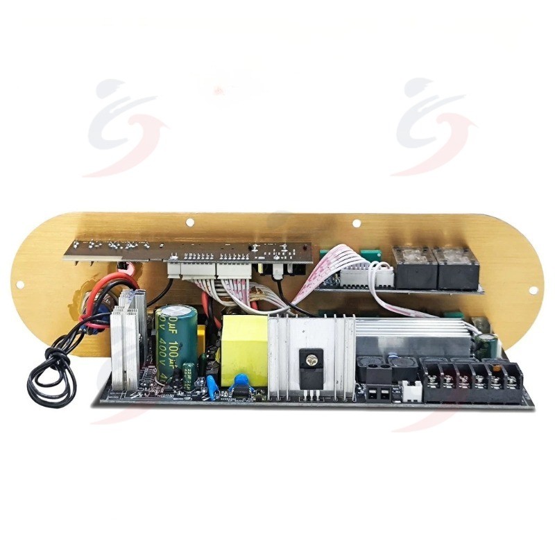 D2000 100W+100W+200W TPA3221 Imported Chip Power Amplifier AUX ECHO ...