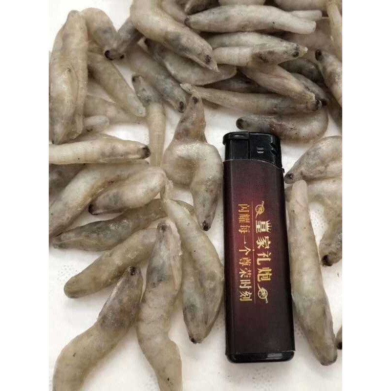 Curated visual reference: Gallery Detail: Fresh Frozen Mudfish Tiger Shark Tropical Pellets Dog Head River