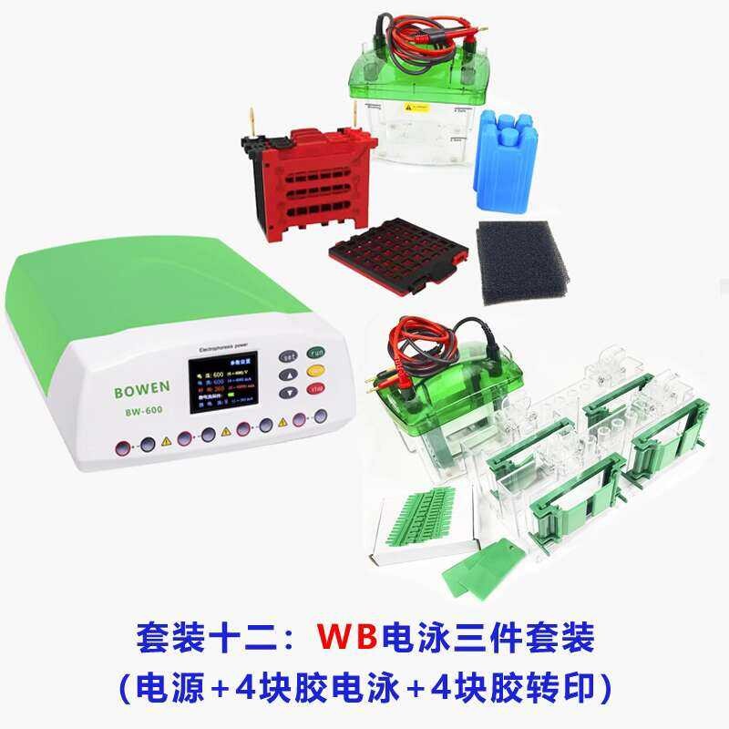 Universal Bio-Rad/Bio-Rad Mini-Protean/Tian Neng WB Small Vertical ...