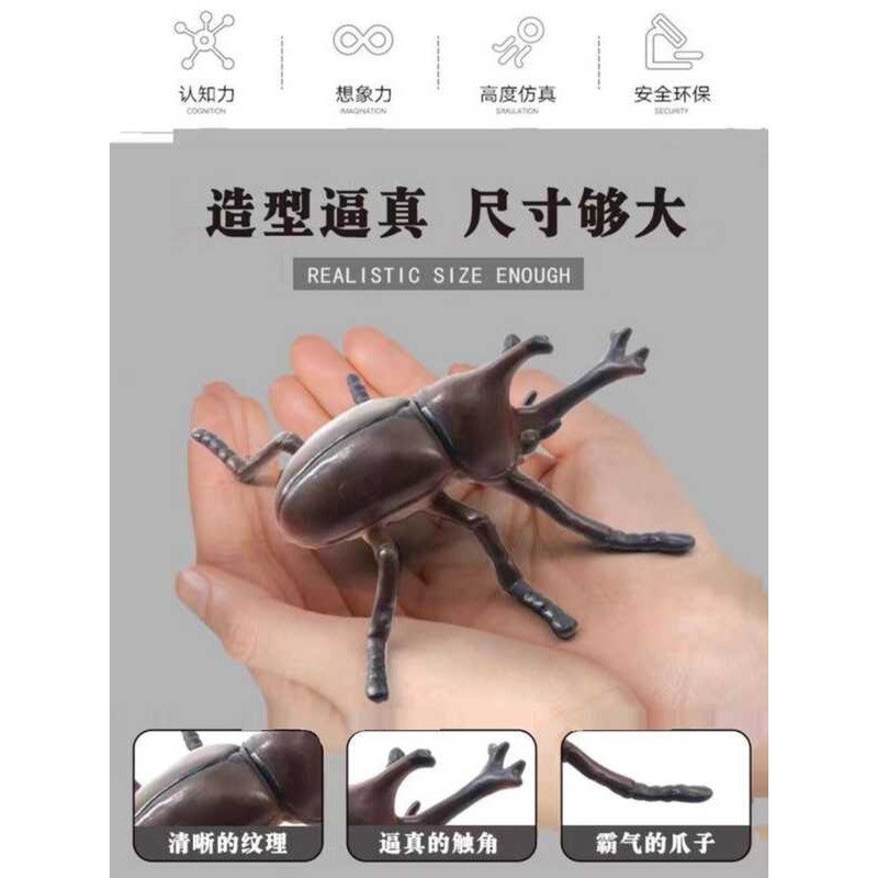 E7 Large Simulation Insect Model Set Eco-Friendly Safe Affordable ...