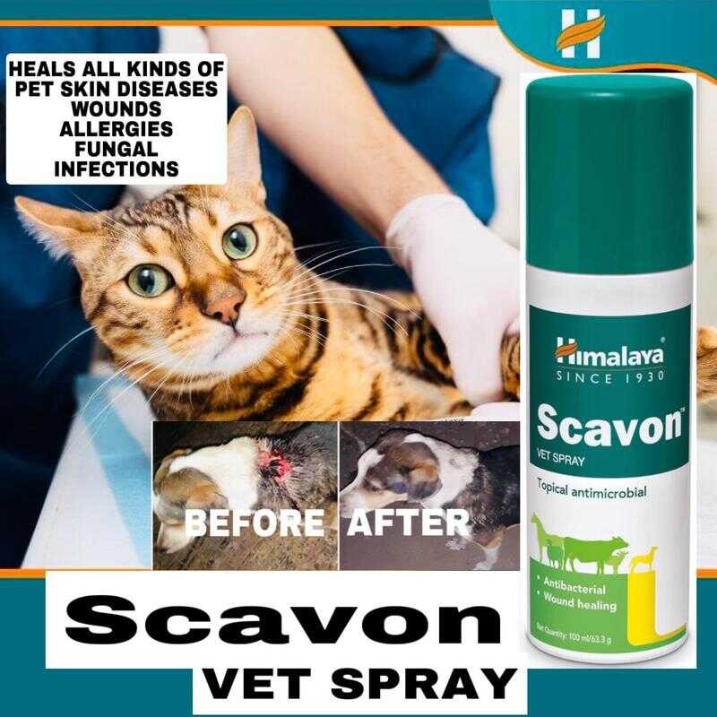 Sale!Himalaya Scavon Vet Spray Wound Skin Disease Healer Prevents ...