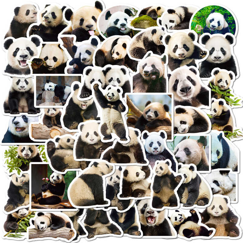 50 Realistic Panda Stickers Cute Giant Panda Huahua Emoji Stickers for ...