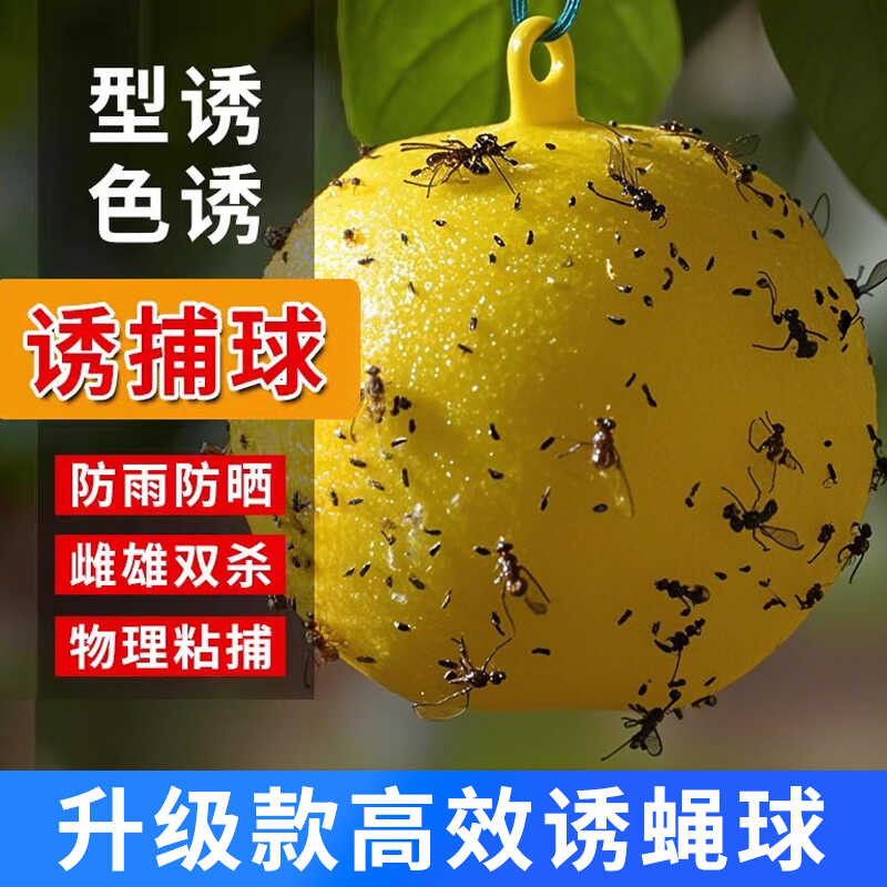 Sticky Insect Loofah Ball Needle Bee Wasp Color Attractant Fruit Fly ...