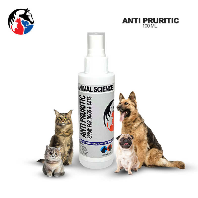 AS ANTI -Pruritic SPRAY 3F2 | Shopee Philippines