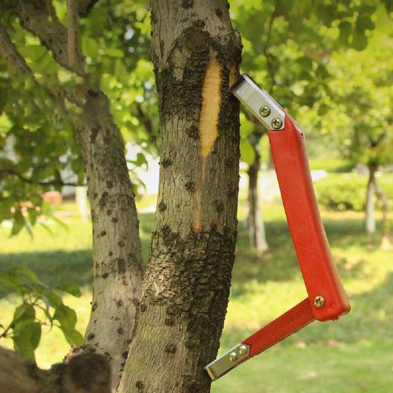 Fruit Tree Rot Scraping Bark Multifunctional Peel Knife Gardening Tools ...