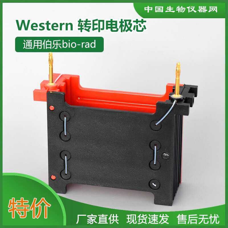 WB Electrode Holder Printing Electrophoresis Module Bio-Rad Westen ...