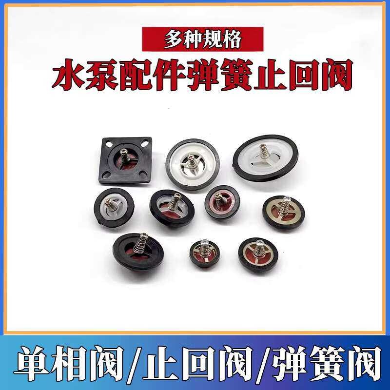 Self-Priming Spring Check Blocking Pressure Boosting One-Way Copper ...