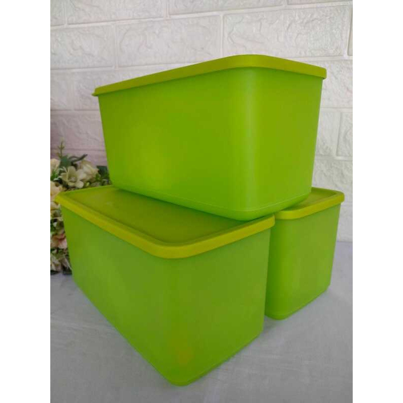 TUPPERWARE 1-Pc JUMBO PAK N STOR 3.1L | Shopee Philippines