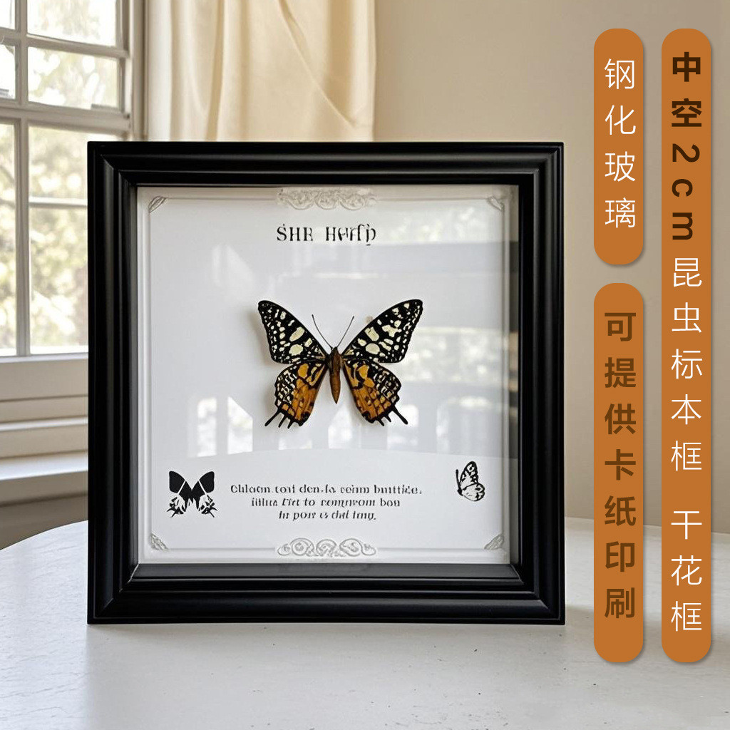 Butterfly Specimen Photo Frame Real Butterfly Specimen Frame Insect ...