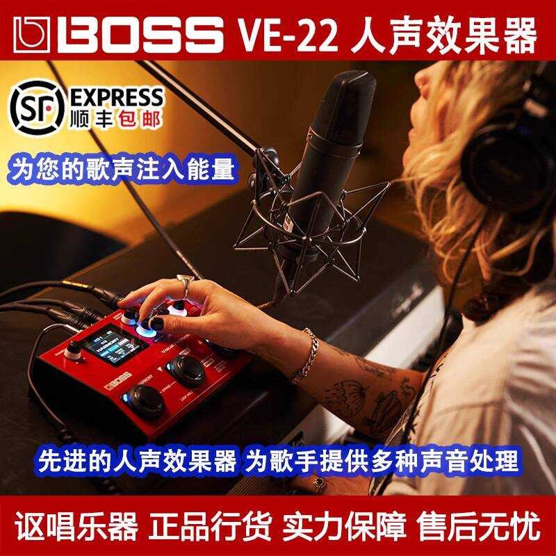 VE-22 Vocal Effects Processor and Reverb Chorus Voice Changer Pitch ...
