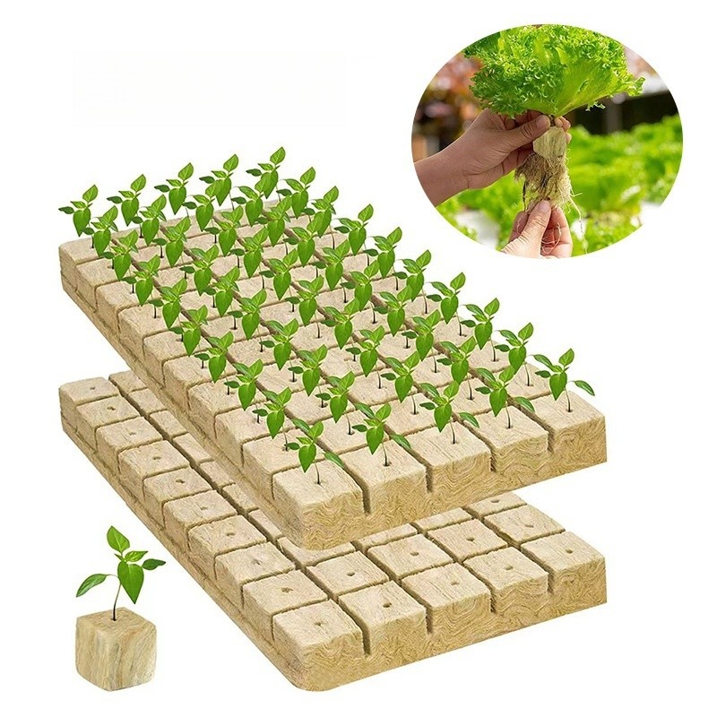 50Pcs Rockwool Cubes/High Quality Hydroponic/Rockwool Seed Starting ...