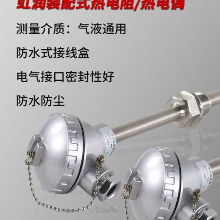 Hongrun PT100 Thermal Resistance Sensor High Thermocouple Armatured ...