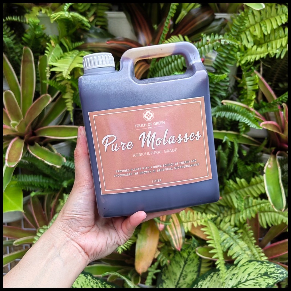 1 LITER PURE MOLASSES / PULOT 1.5kg | AGRICULTURAL GRADE | Insect ...