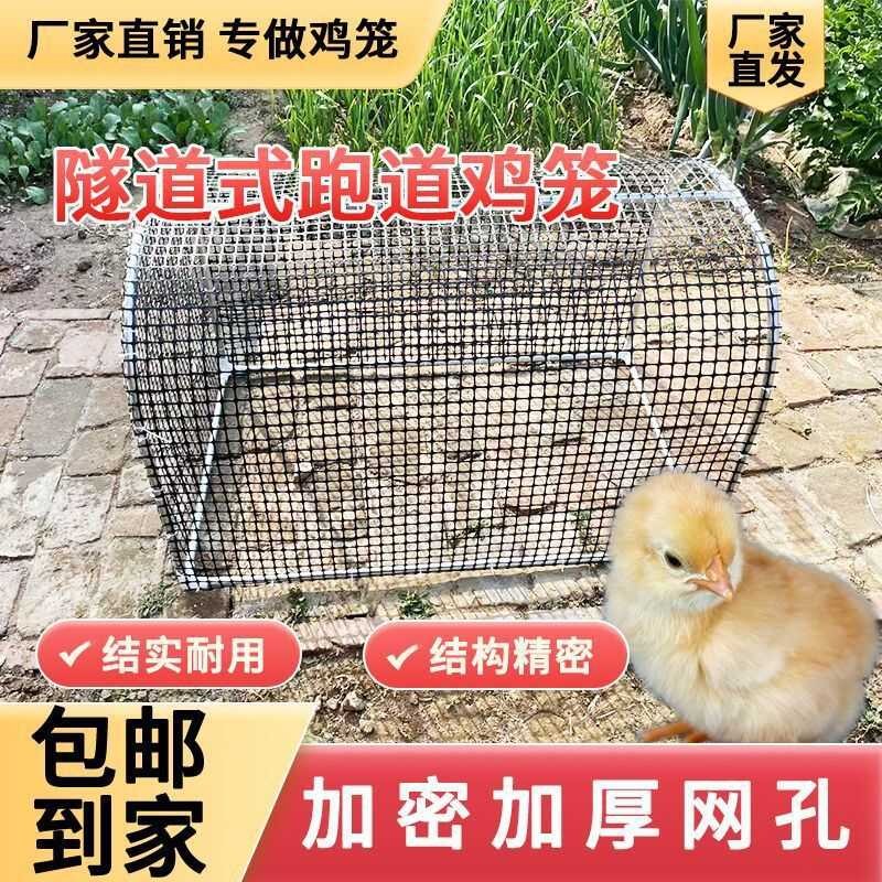 Free-Range Chicken Coop Tunnel Farming Outdoor Courtyard Vegetable ...
