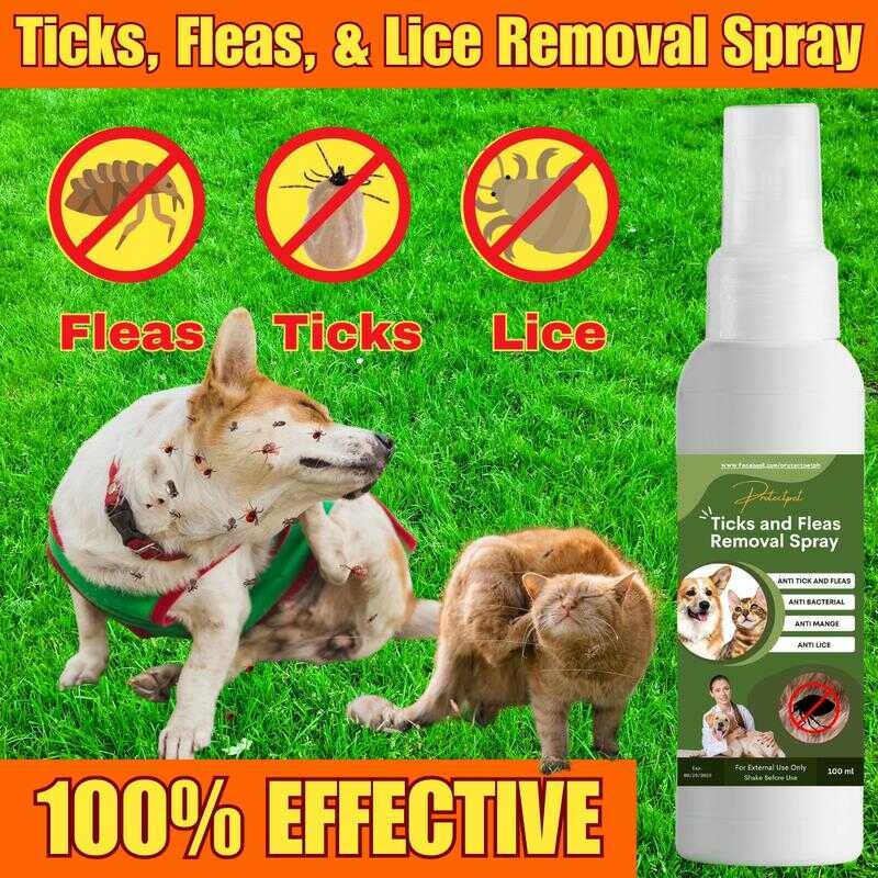 What Kills Dog Fleas Instantly 4 Vet Approved Solutions Photo Inspiration