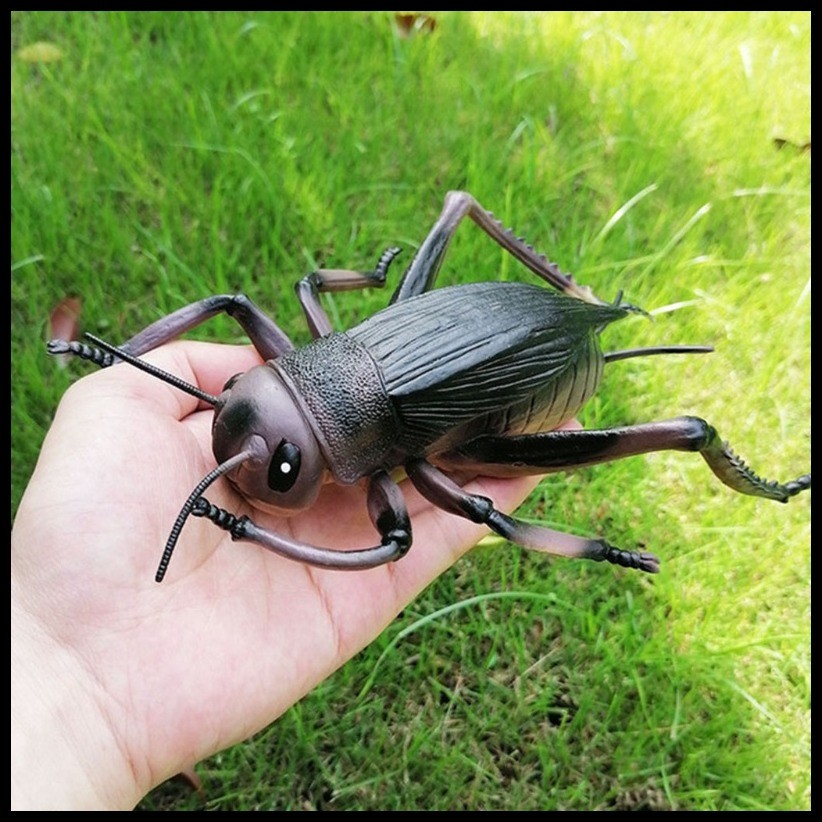 youn Creepy Lifelike Fake Spiders Cricket Ladybug Grasshoppe Insect ...