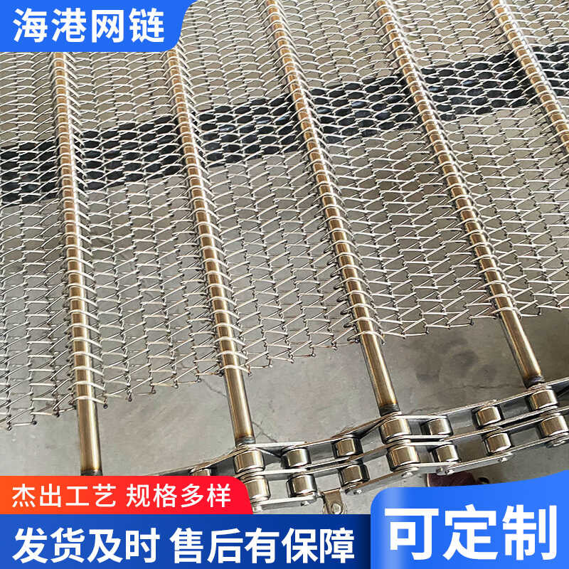 Stainless Steel High Temperature Resistant Food Drying Sorting Chain ...
