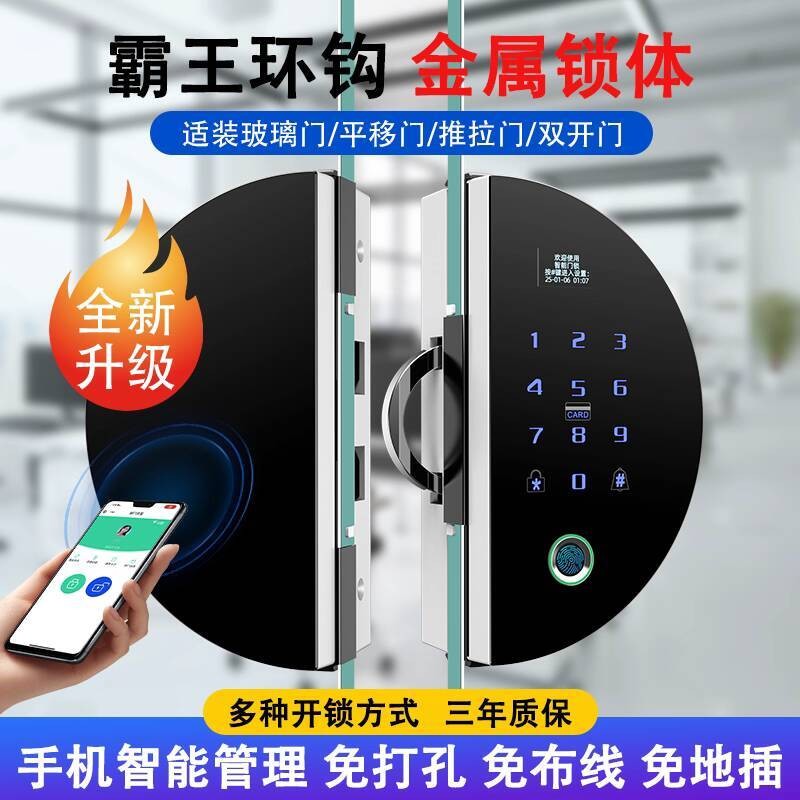 Office Glass Door Fingerprint Lock Single Door Double Door Frameless ...
