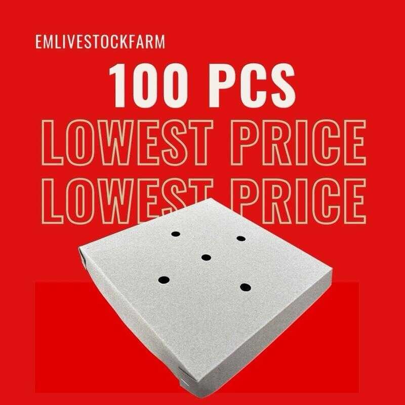 7E5 Pugo Box Quail Egg 100Pcs | Shopee Philippines