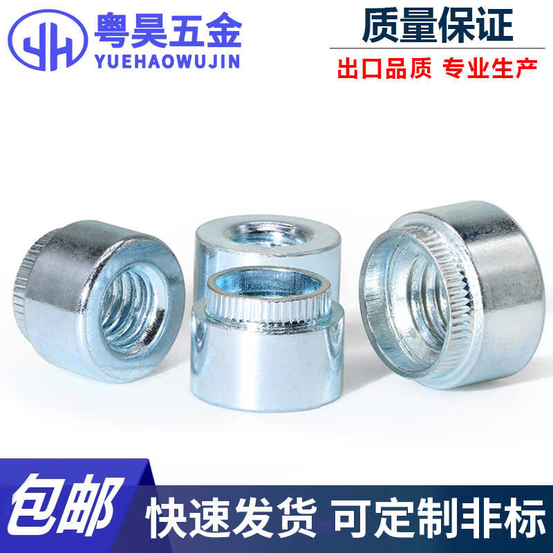 Environmental-Friendly Round Step Rivet Nuts M3M4M5M6M8 | Shopee ...