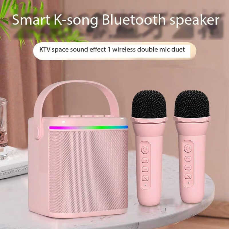 Portable Professional Karaoke Wireless Bluetooth Speaker RGB Light With ...