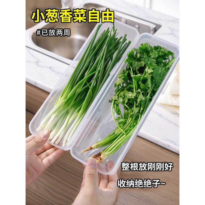 Food-Grade Fresh-Keeping Box Green Onions, Scallions, Cilantro, Whole ...