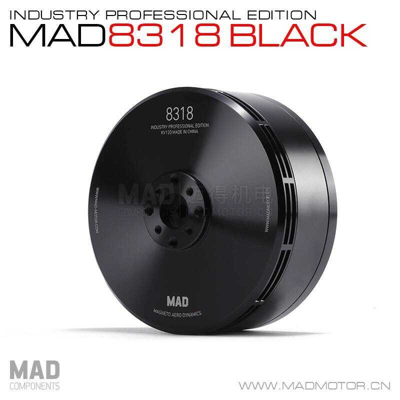 Mad Multi-Axis Multi-Rotor External Rotor Disc Type Three-Phase ...