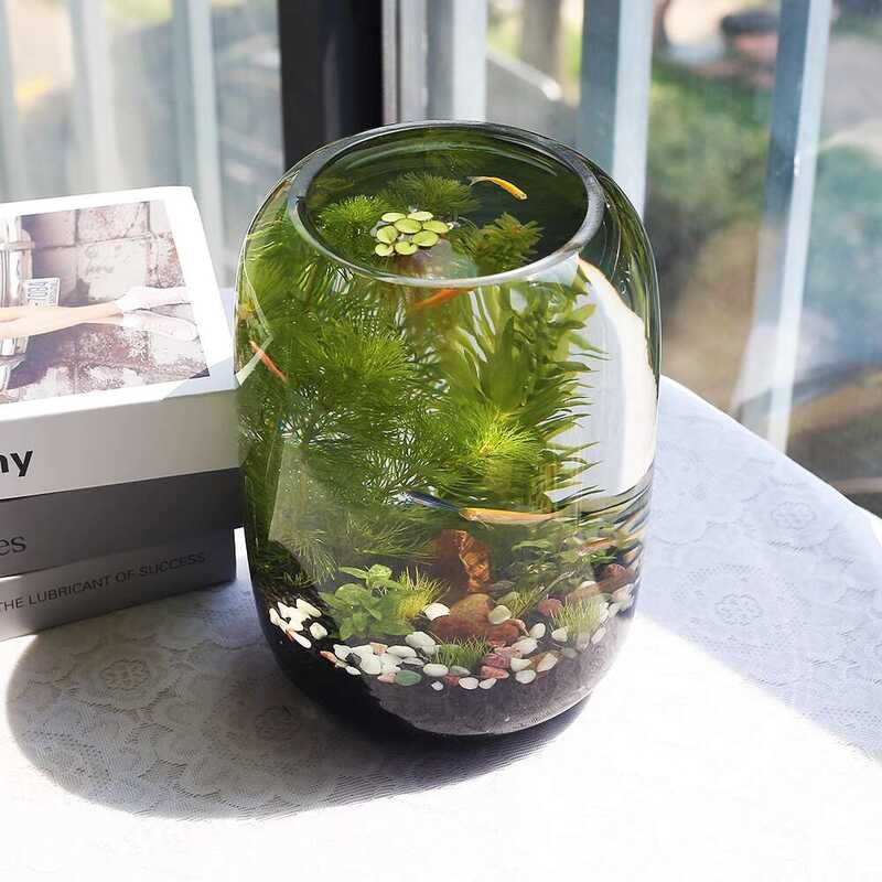 Desktop Small Glass Fish Maintenance-Free Ecological Tank Micro ...