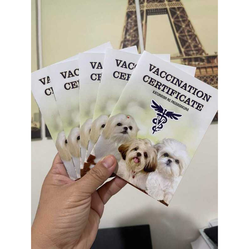 Pet Vaccination Card Colored F46 | Shopee Philippines