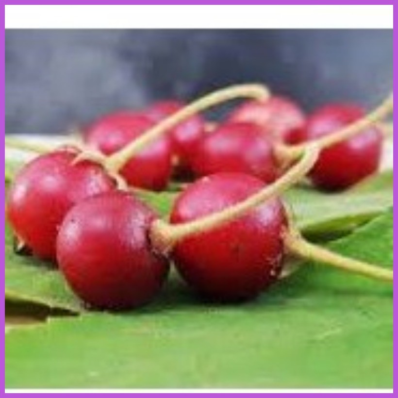 Shop aratilis for Sale on Shopee Philippines