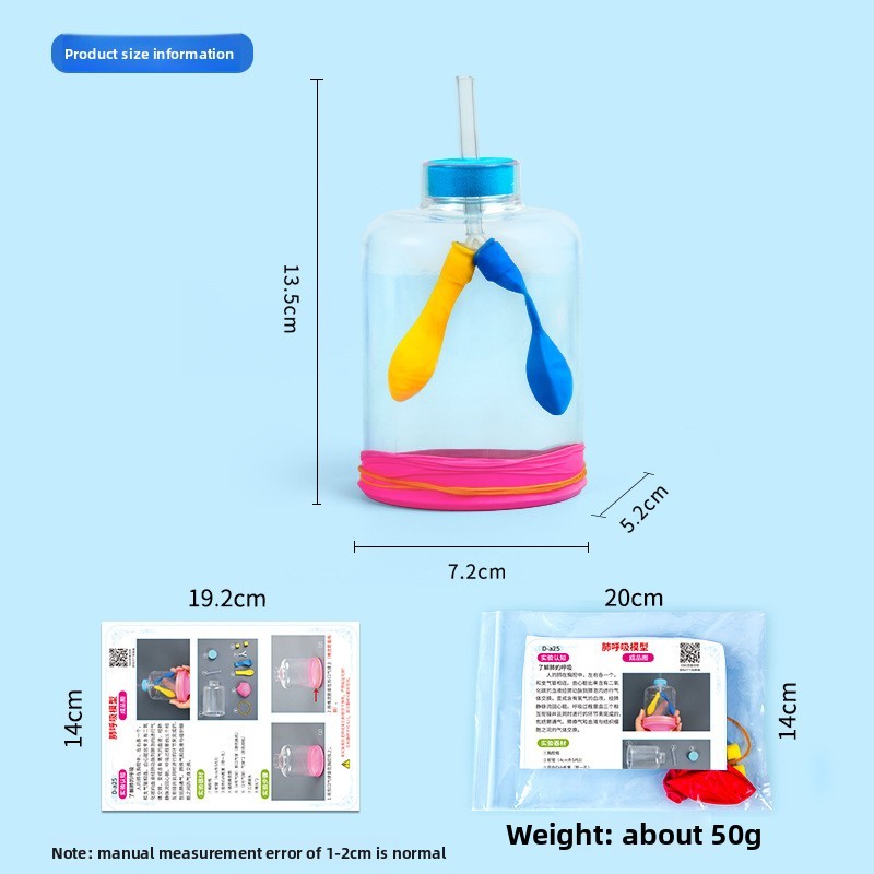 Educational Lung Model Science Kit For Kids With Diaphragm Movement ...